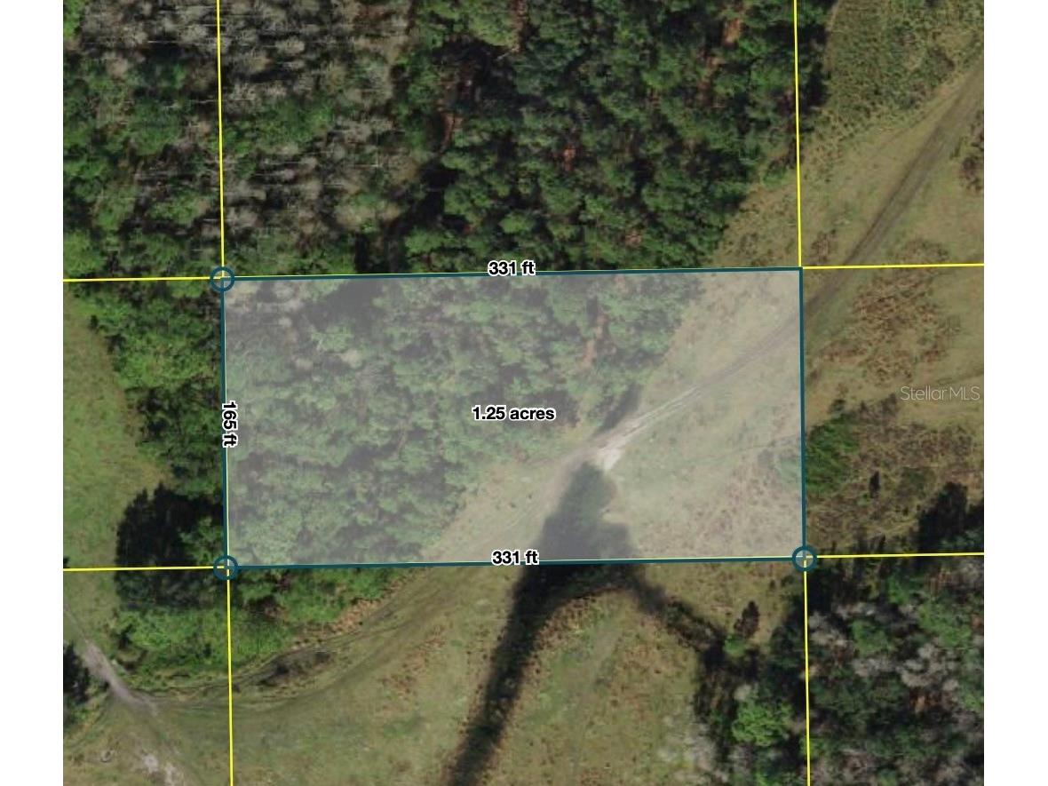 28.341015 -81.840448 Polk City Fl 33868 Polk City FL 33868 S5151154 image4