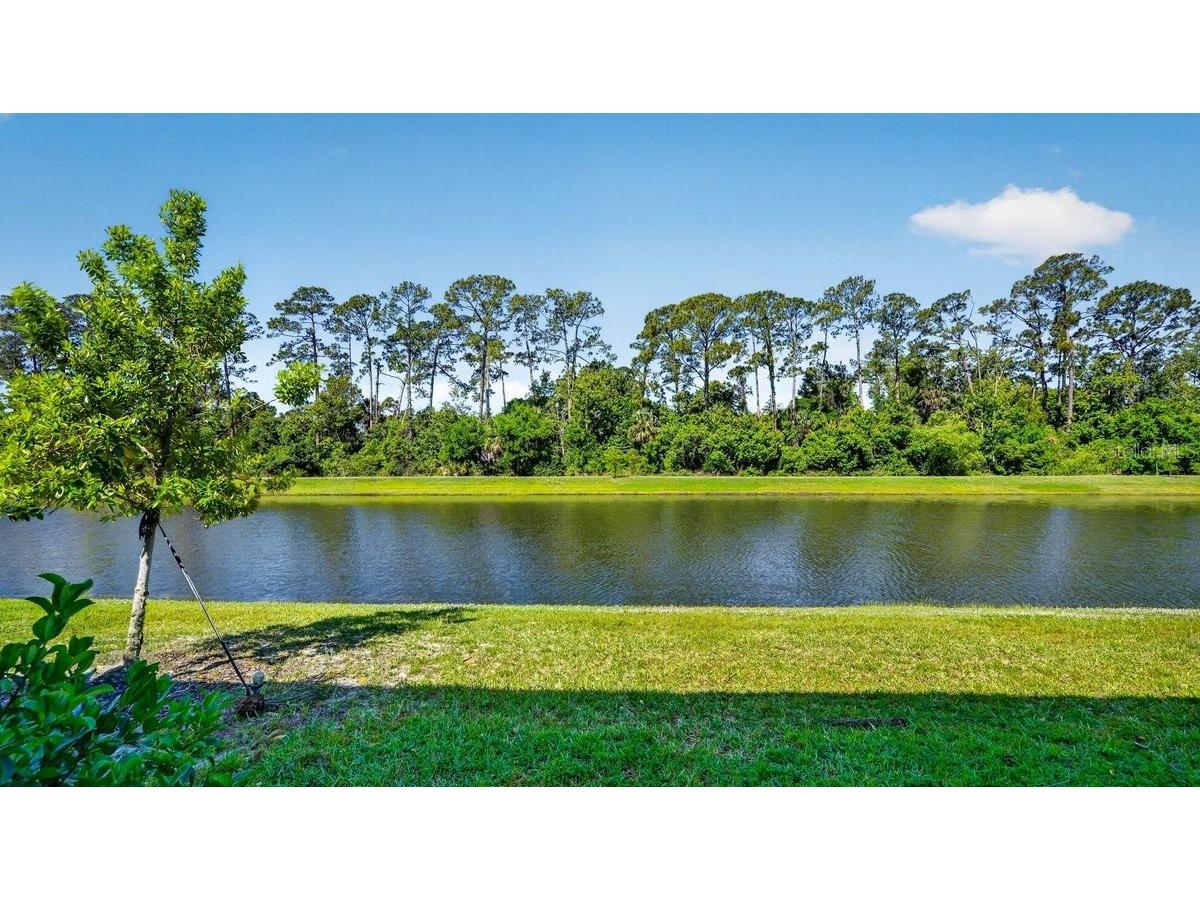 28 Bella Lago Circle Port Orange FL 32129 NS1088002 image64