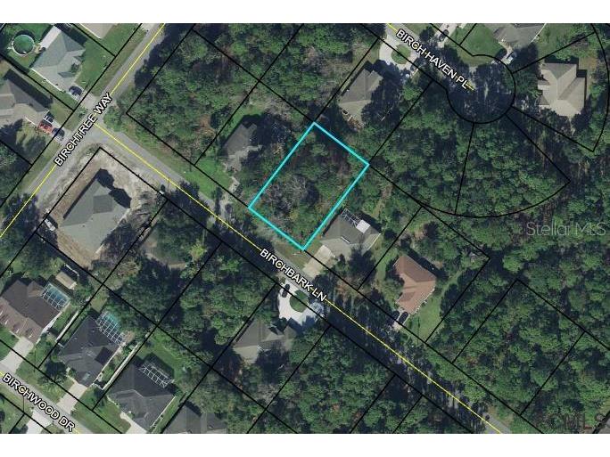 28 Birchbark Lane Palm Coast FL 32137 FC274135 image2