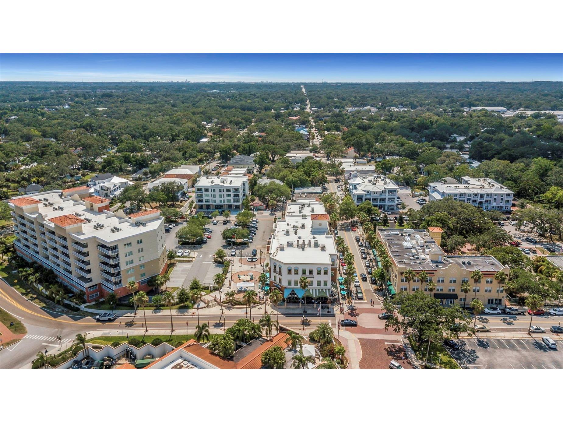 28 Brigton Court Safety Harbor FL 34695 TB8477801 image26