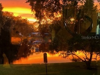 28 Gordon Court Leesburg FL 34788 OM699593 image5