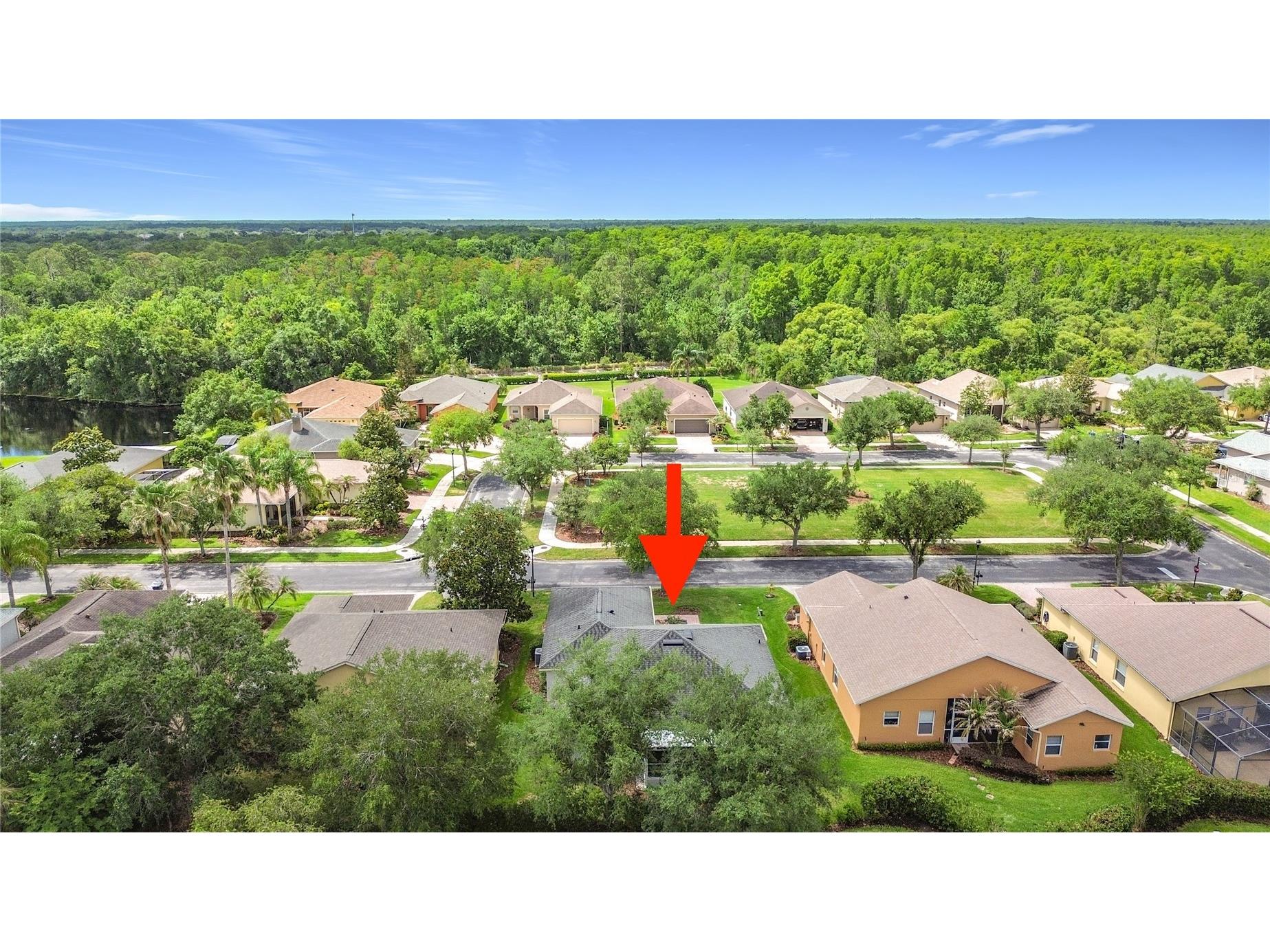28 Knoll Wood Dr Poinciana FL 34759 S5150172 image43