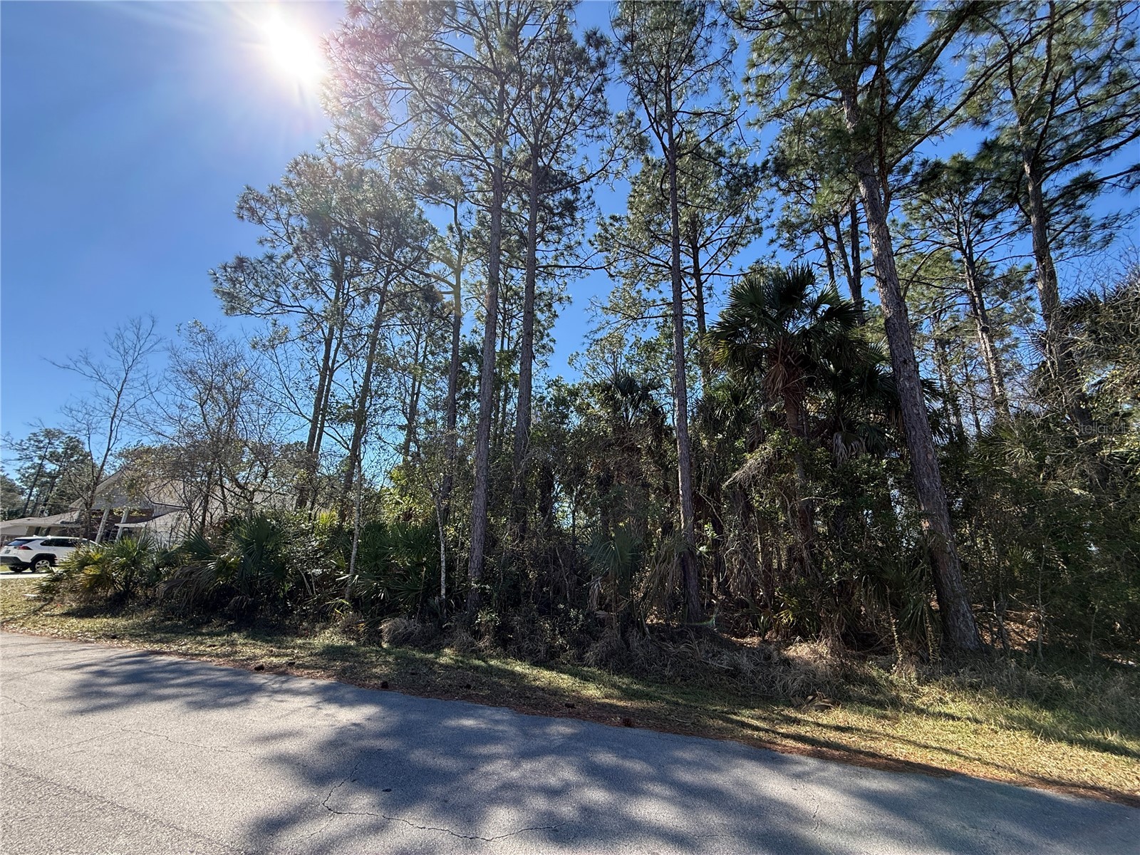 28 Phoenix Lane Palm Coast FL 32164 FC316417 image4