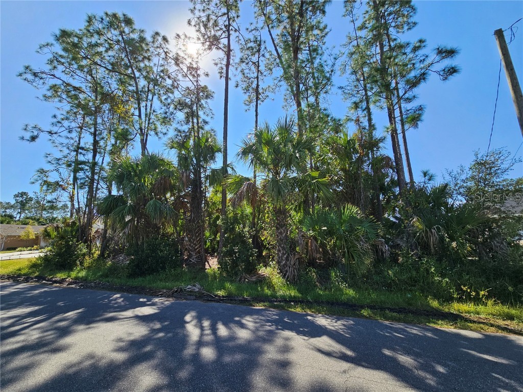 28 Pony Lane Palm Coast FL 32164 FC313875 image1