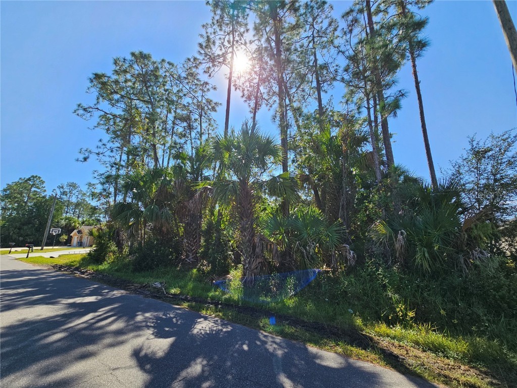 28 Pony Lane Palm Coast FL 32164 FC313875 image2