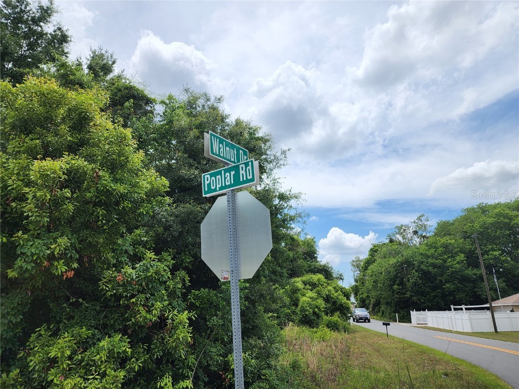 28 Poplar Road Ocala FL 34480 O6244715 image1