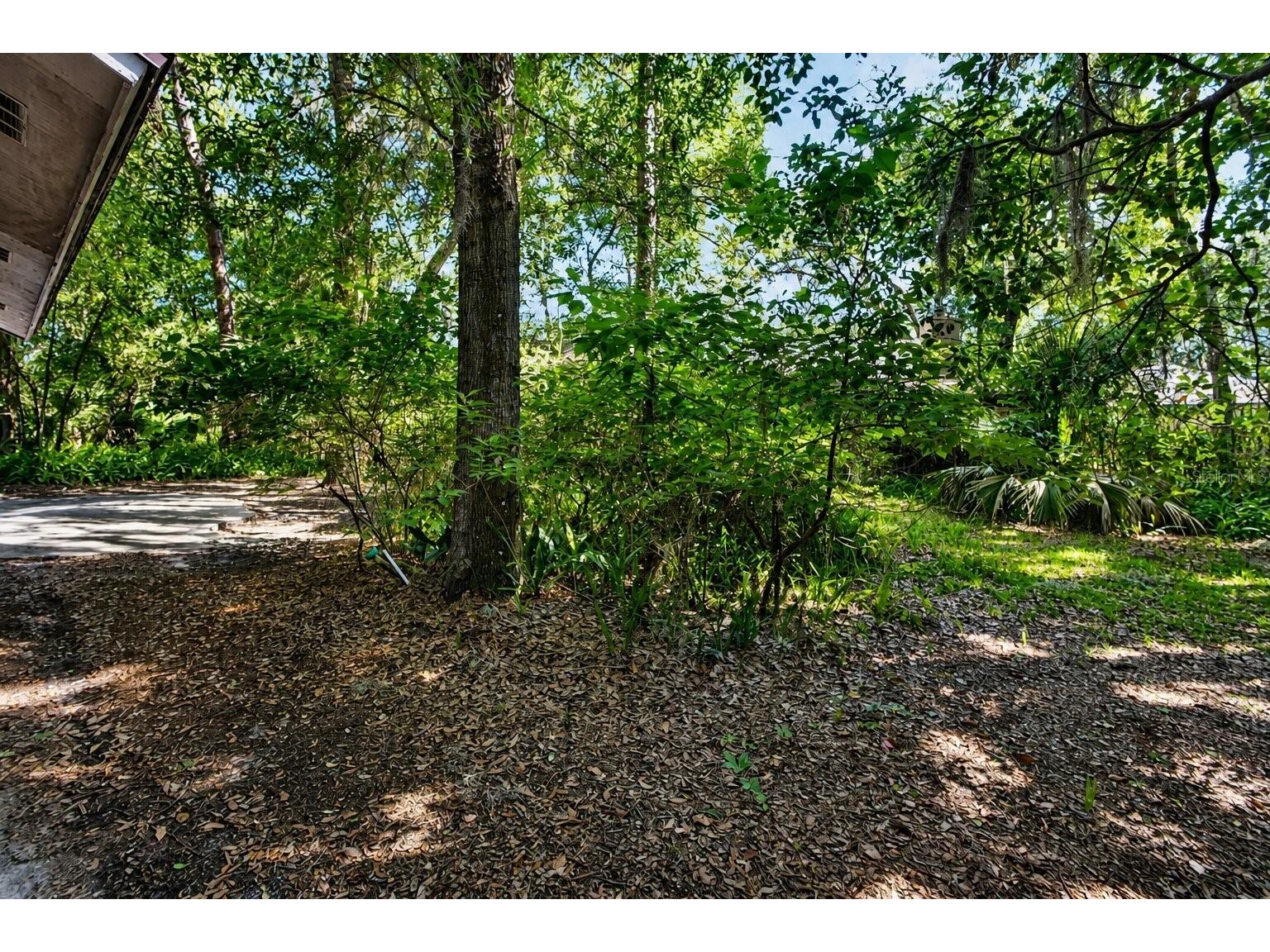 28 Ramblewood Trail Deland FL 32724 V4949140 image30