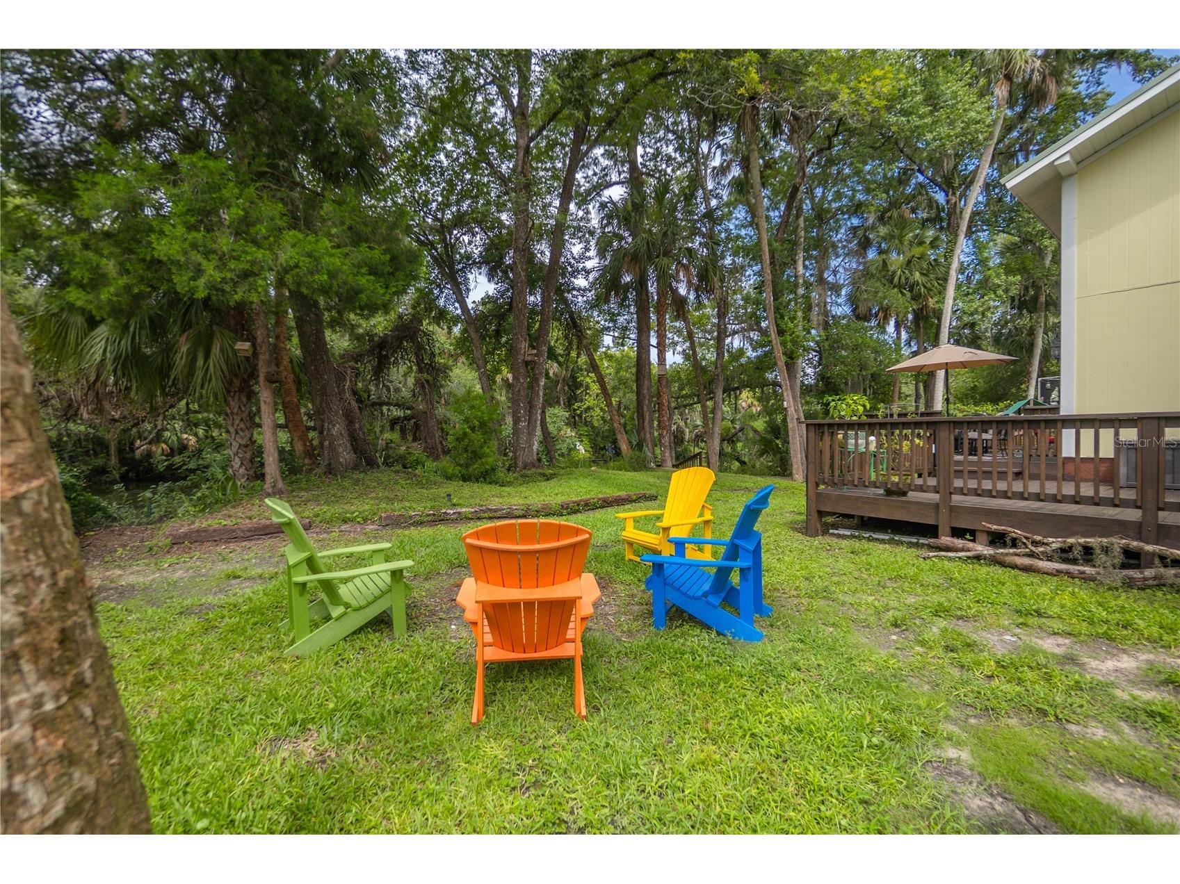 28 Rivertrail Drive Inglis FL 34449 - WITHLACOOCHEE RIVER TB8476801 image26