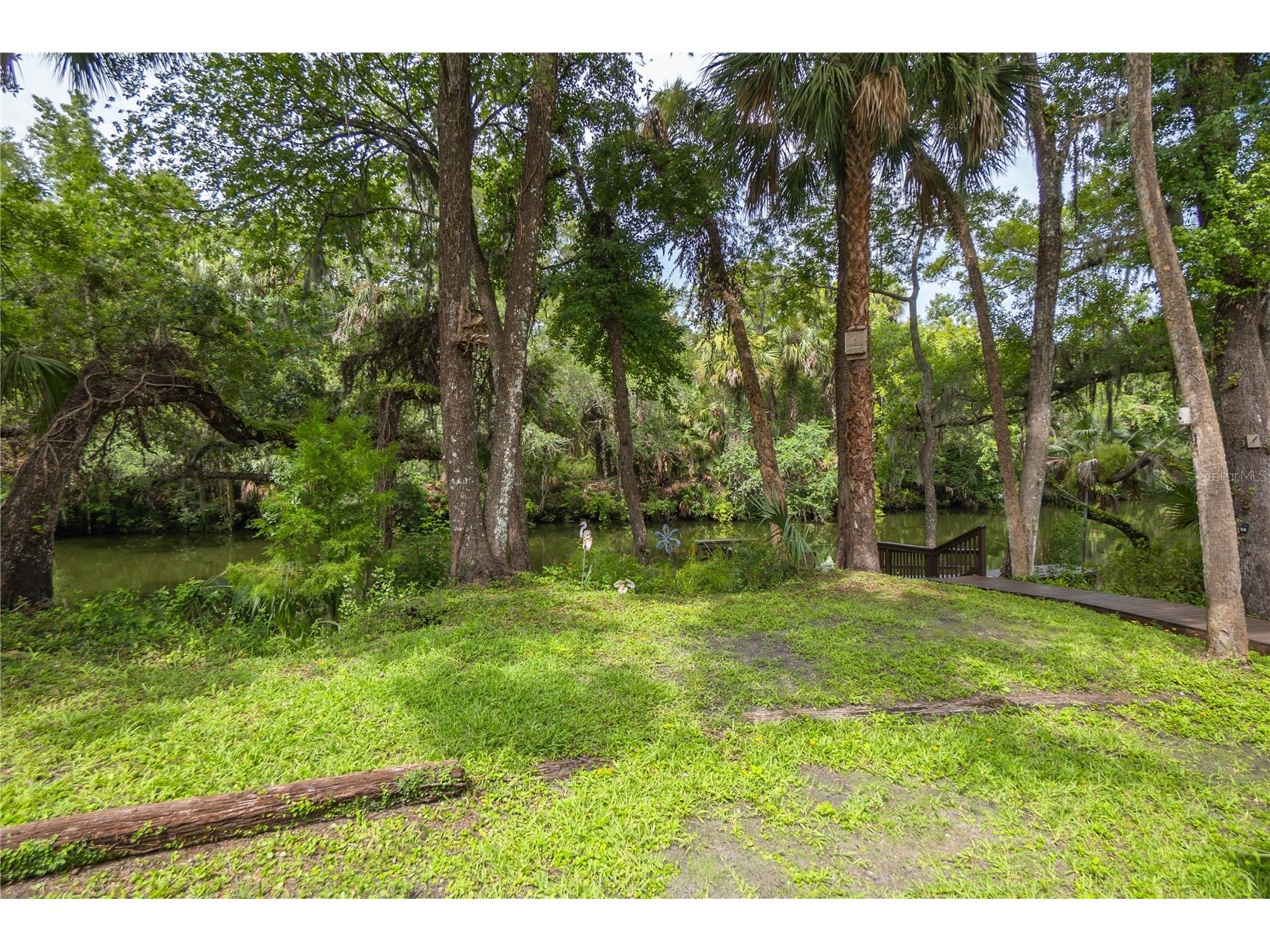 28 Rivertrail Drive Inglis FL 34449 - WITHLACOOCHEE RIVER TB8476801 image27