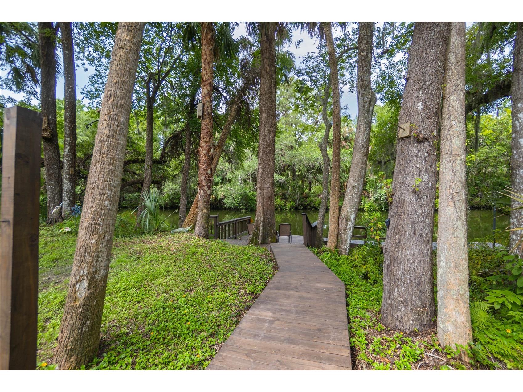 28 Rivertrail Drive Inglis FL 34449 - WITHLACOOCHEE RIVER TB8476801 image28