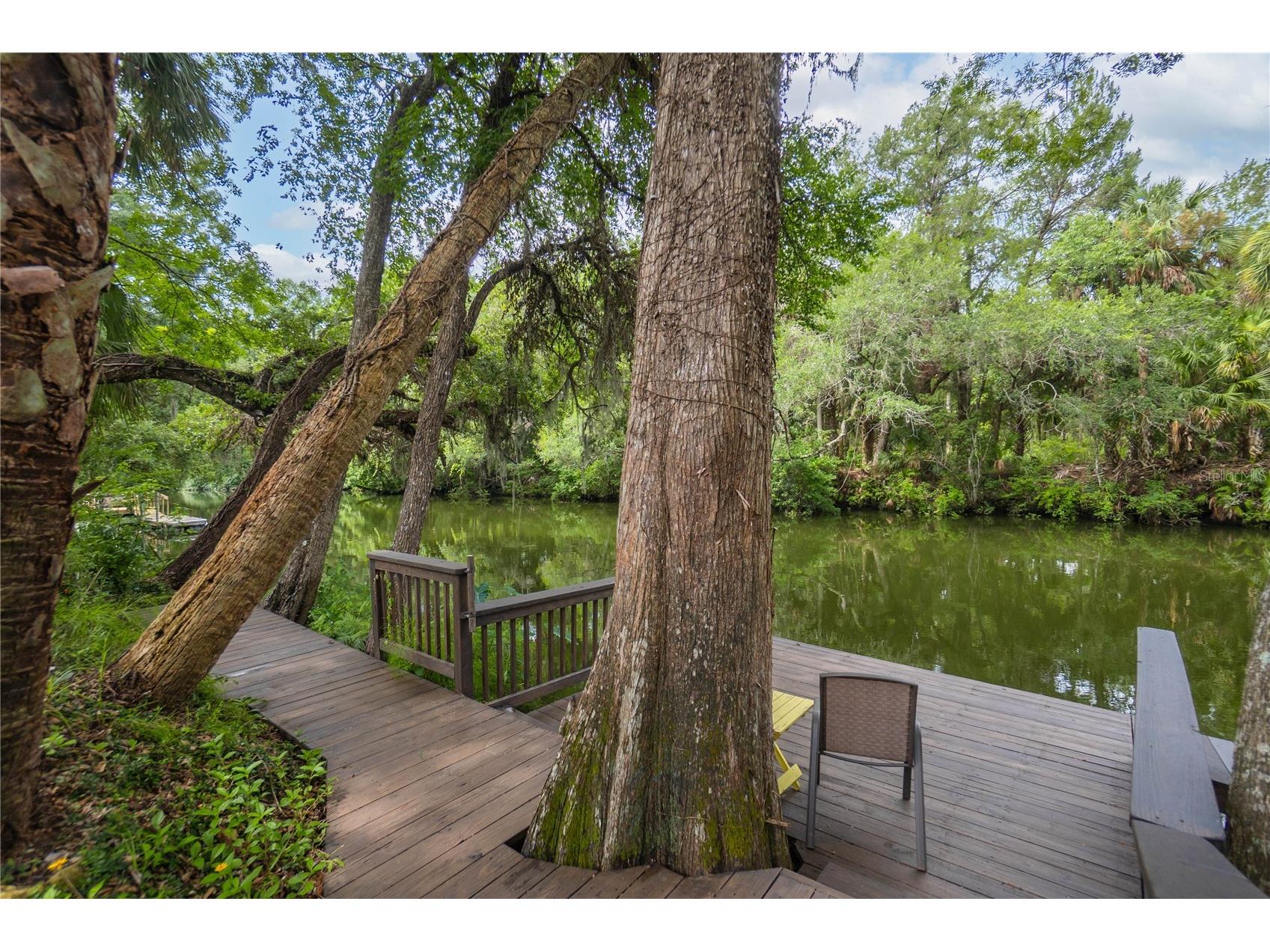 28 Rivertrail Drive Inglis FL 34449 - WITHLACOOCHEE RIVER TB8476801 image29