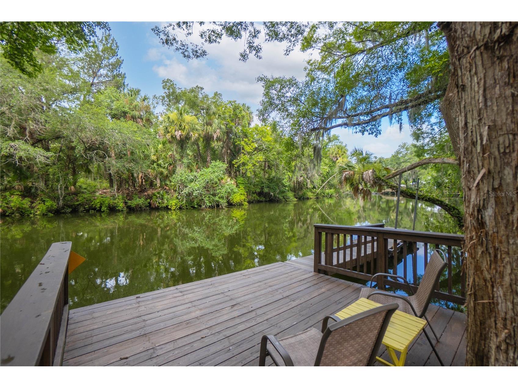 28 Rivertrail Drive Inglis FL 34449 - WITHLACOOCHEE RIVER TB8476801 image30