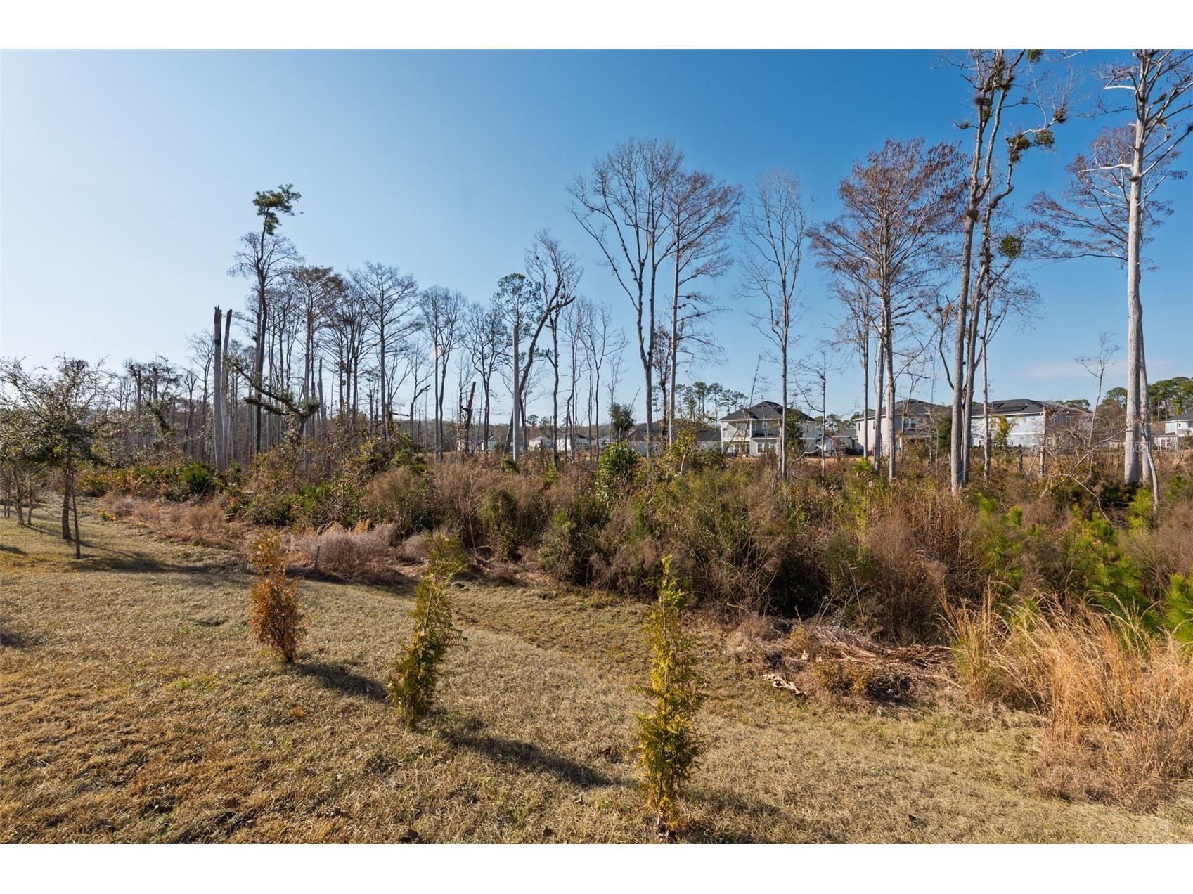 28 Seasons Court Saint Augustine FL 32092 FC315942 image36