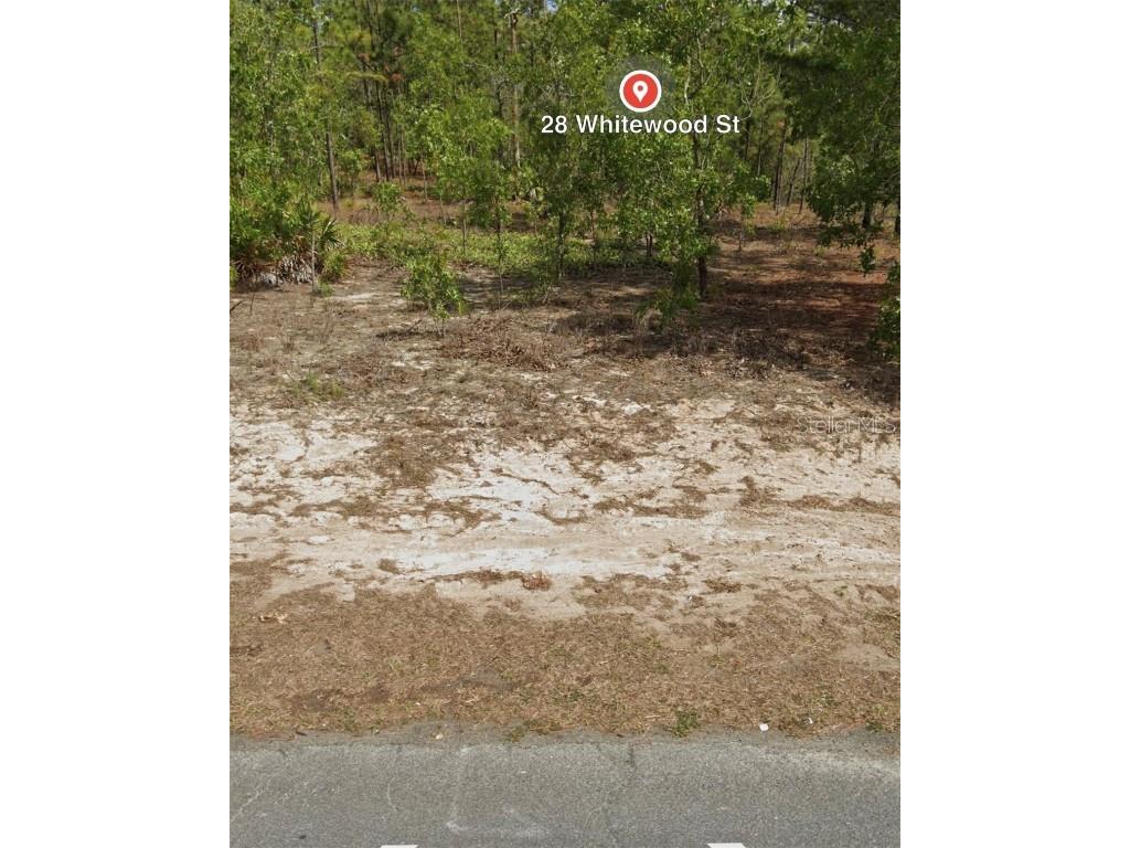 28 Whitewood Street Homosassa FL 34446 W7859064 image1