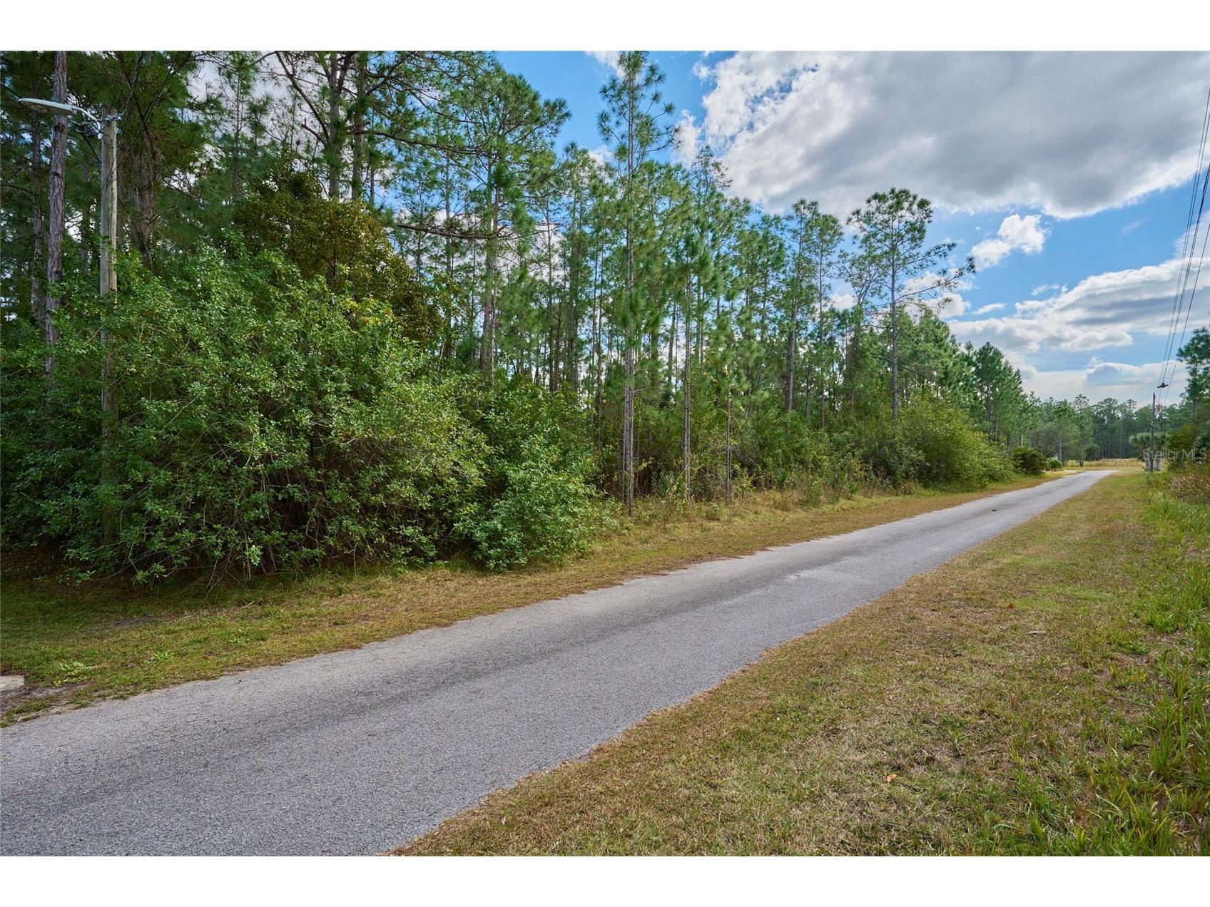28 and 30 Amaryllis Drive Indian Lake Estates FL 33855 - LAKE WEHOYAKAPKA TB8467412 image10