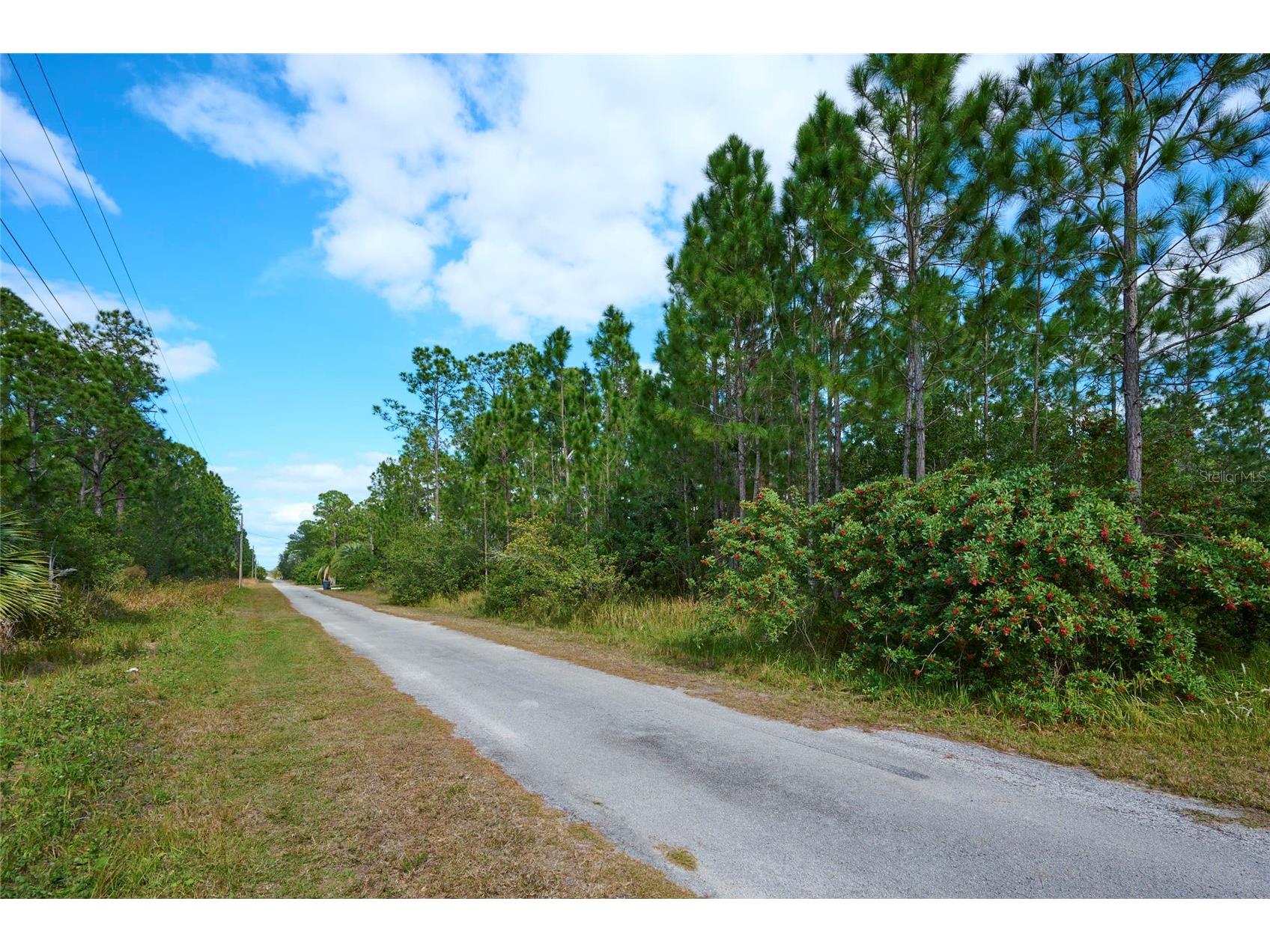 28 and 30 Amaryllis Drive Indian Lake Estates FL 33855 - LAKE WEHOYAKAPKA TB8467412 image4