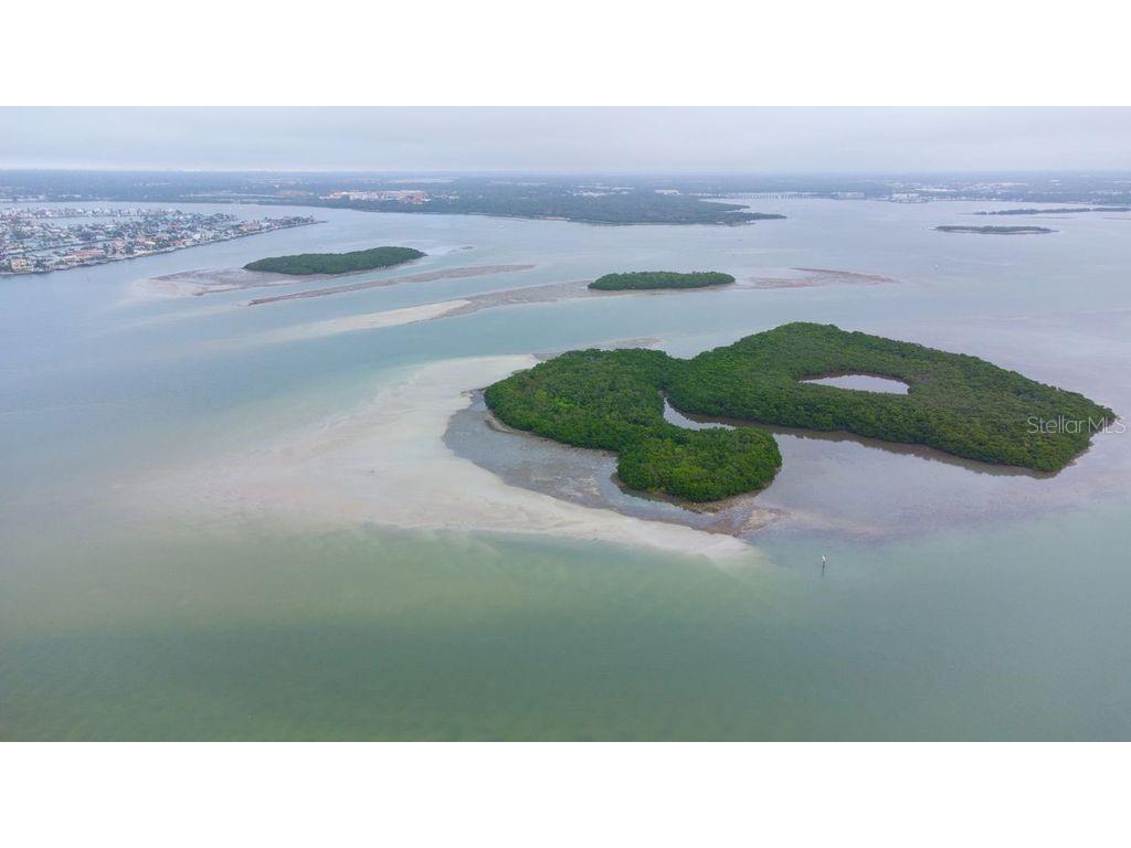280 126th Avenue #108 Treasure Island FL 33706 TB8455578 image31