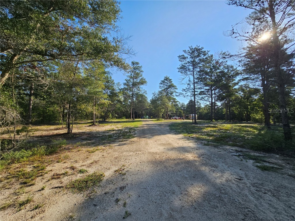 280 Buck Court N Perry FL 32348 G5072119 image1