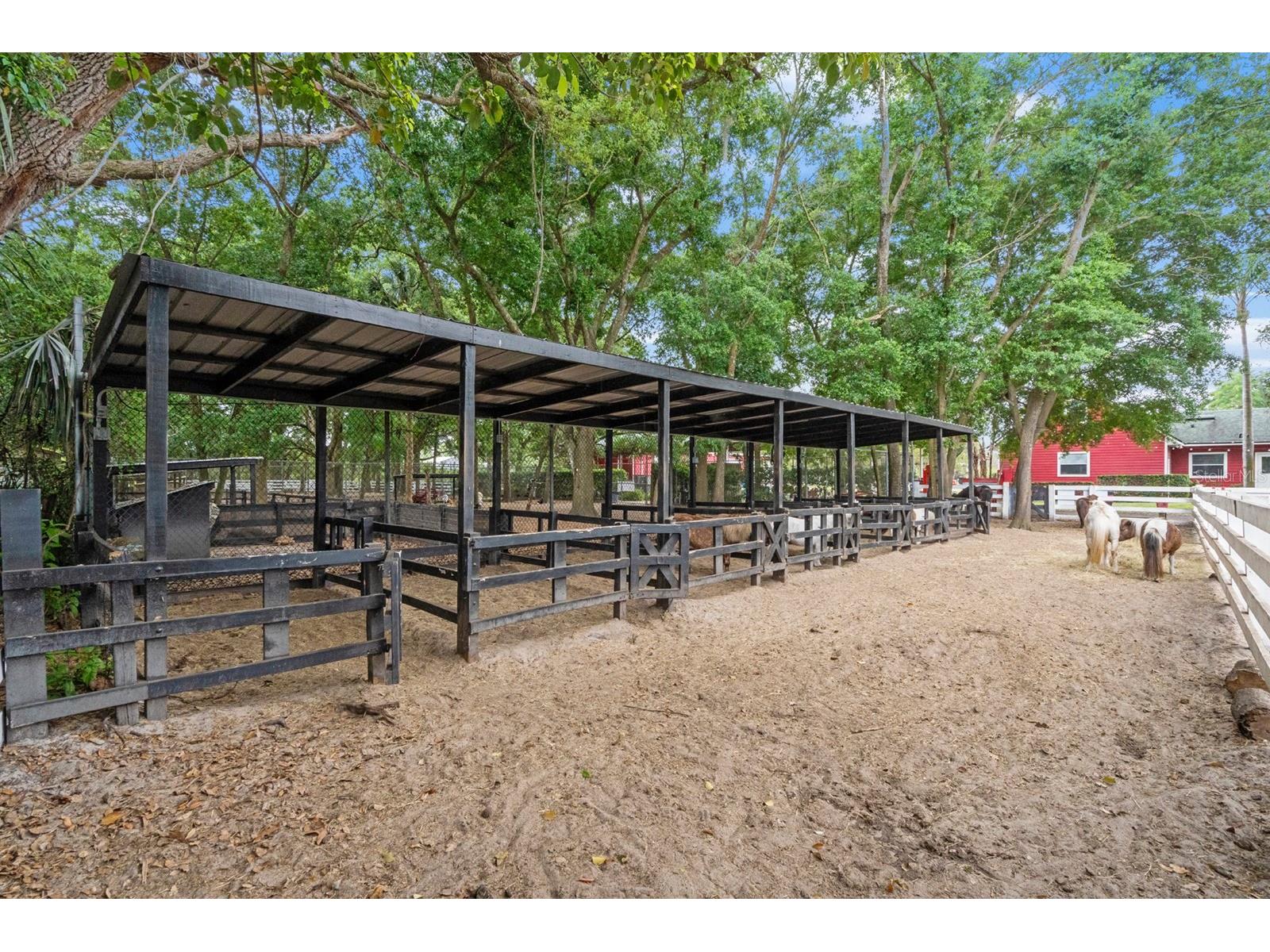 280 Campbell Ranch Run Geneva FL 32732 O6397379 image32