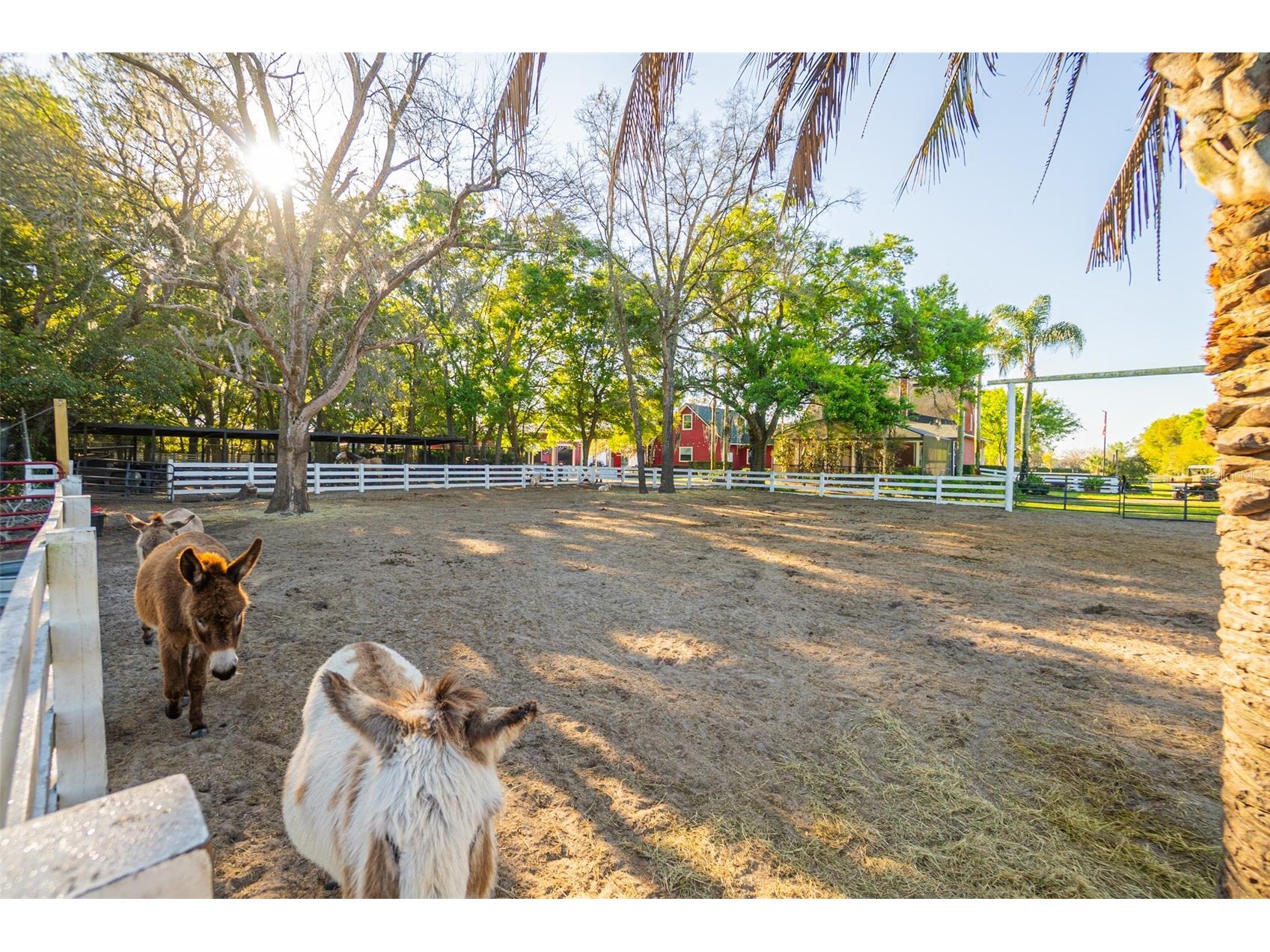 280 Campbell Ranch Run Geneva FL 32732 O6397379 image34