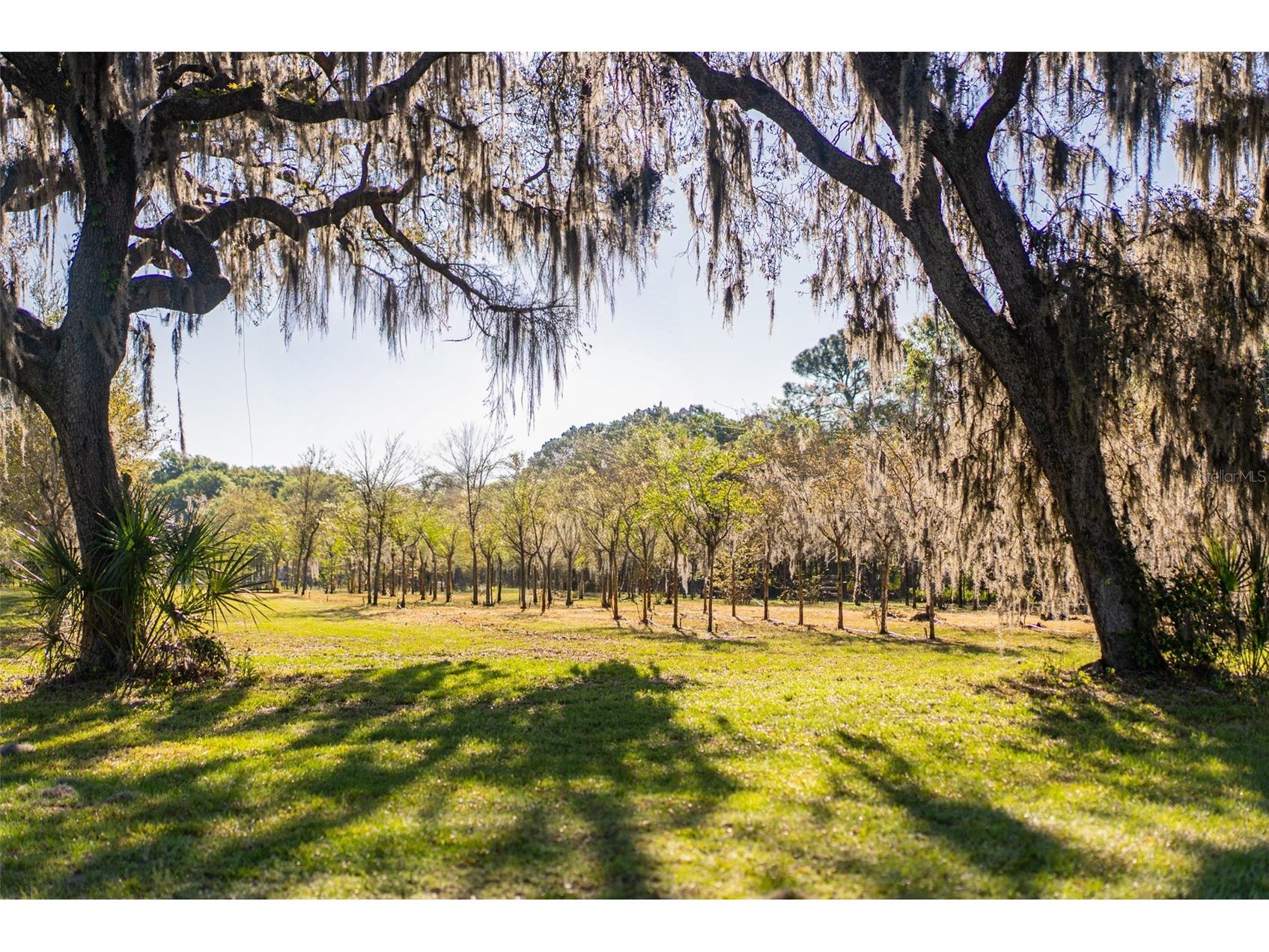 280 Campbell Ranch Run Geneva FL 32732 O6397379 image67