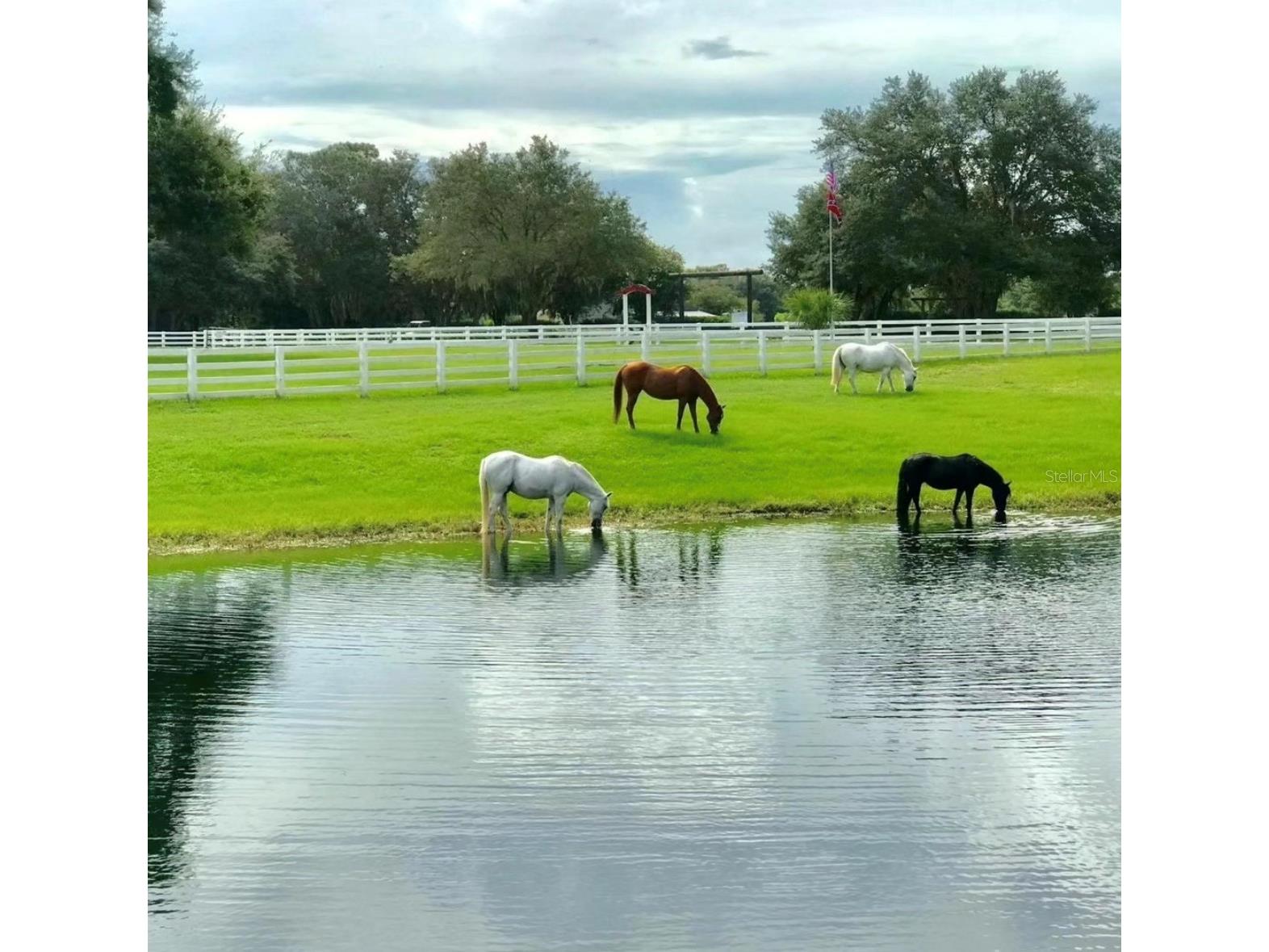 280 Campbell Ranch Run Geneva FL 32732 O6397379 image69