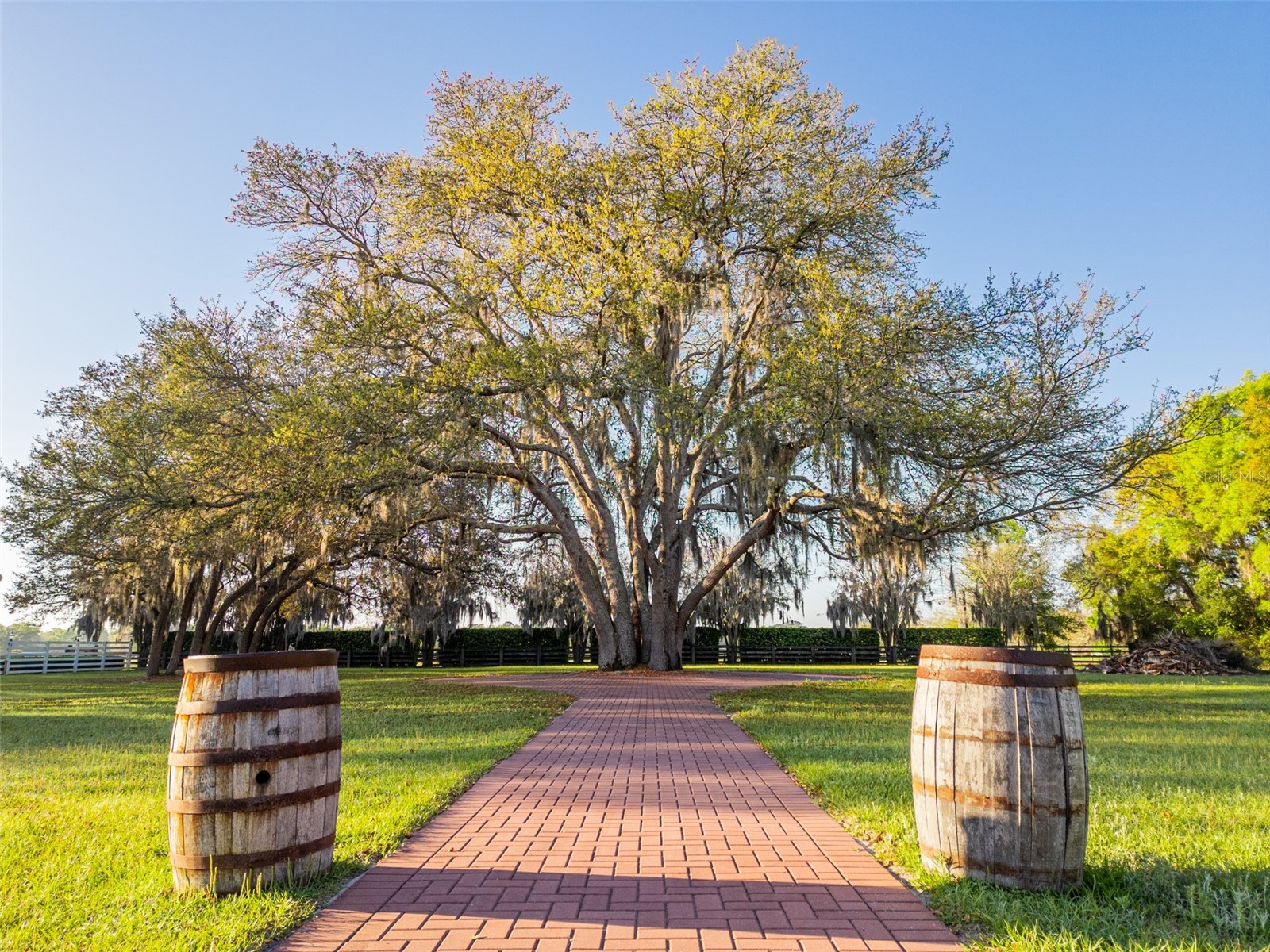 280 Campbell Ranch Run Geneva FL 32732 O6397379 image70