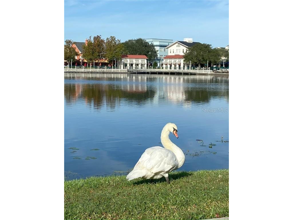 280 Celebration Boulevard #208 Kissimmee FL 34747 O6305396 image26