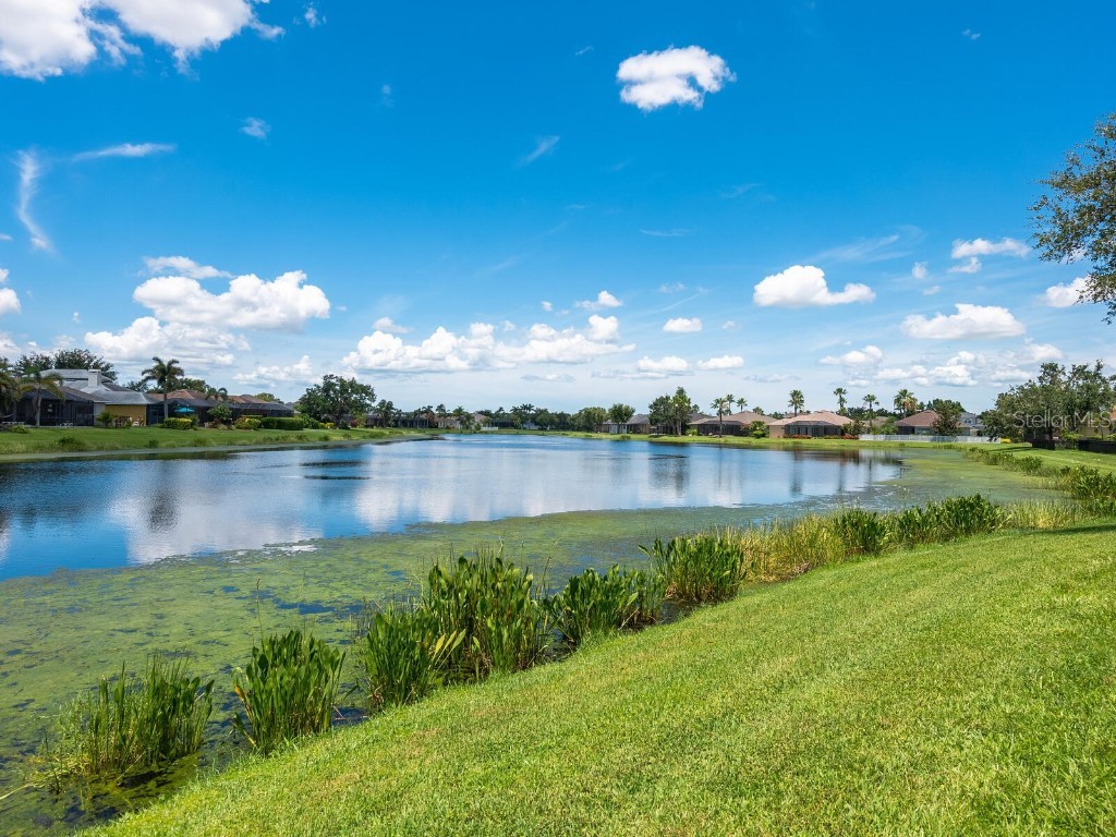 280 Dahlia Court Bradenton FL 34212 A4657743 image38