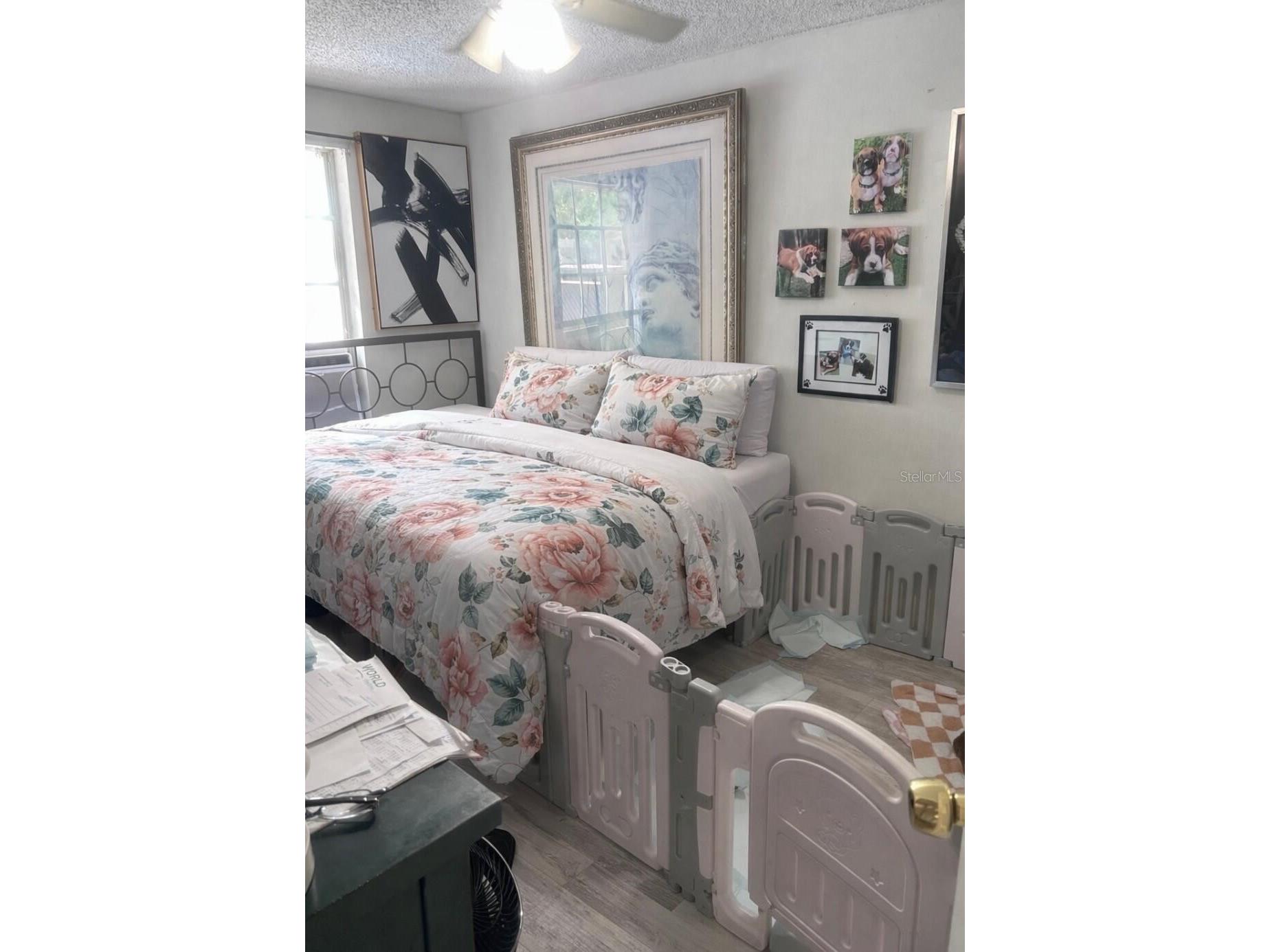280 E 1st Street Apopka FL 32703 O6399457 image5