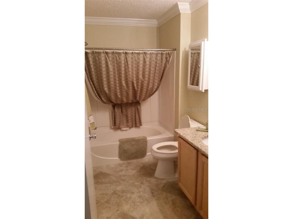 280 Emmalee Place The Villages FL 32162 O6359310 image10