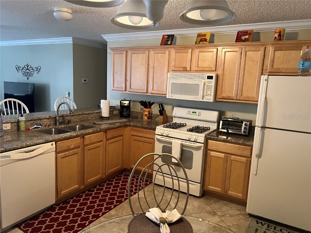 280 Emmalee Place The Villages FL 32162 O6359310 image4