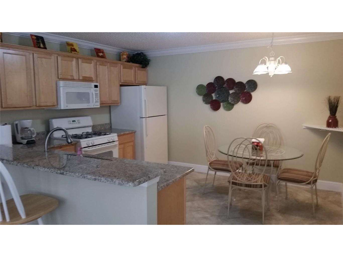 280 Emmalee Place The Villages FL 32162 O6359310 image5