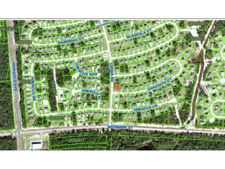 280 Hyacinth Court Poinciana FL 34759 D6139508 image1