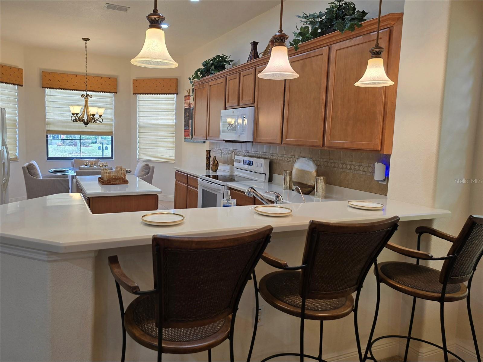 280 Indian Wells Avenue Kissimmee FL 34759 O6394927 image6
