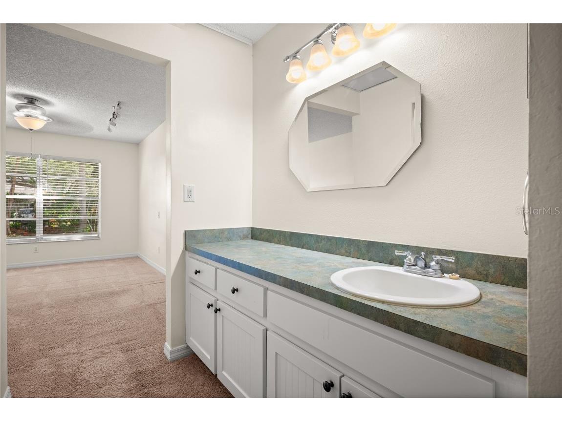 280 Kent Place Safety Harbor FL 34695 TB8438646 image21