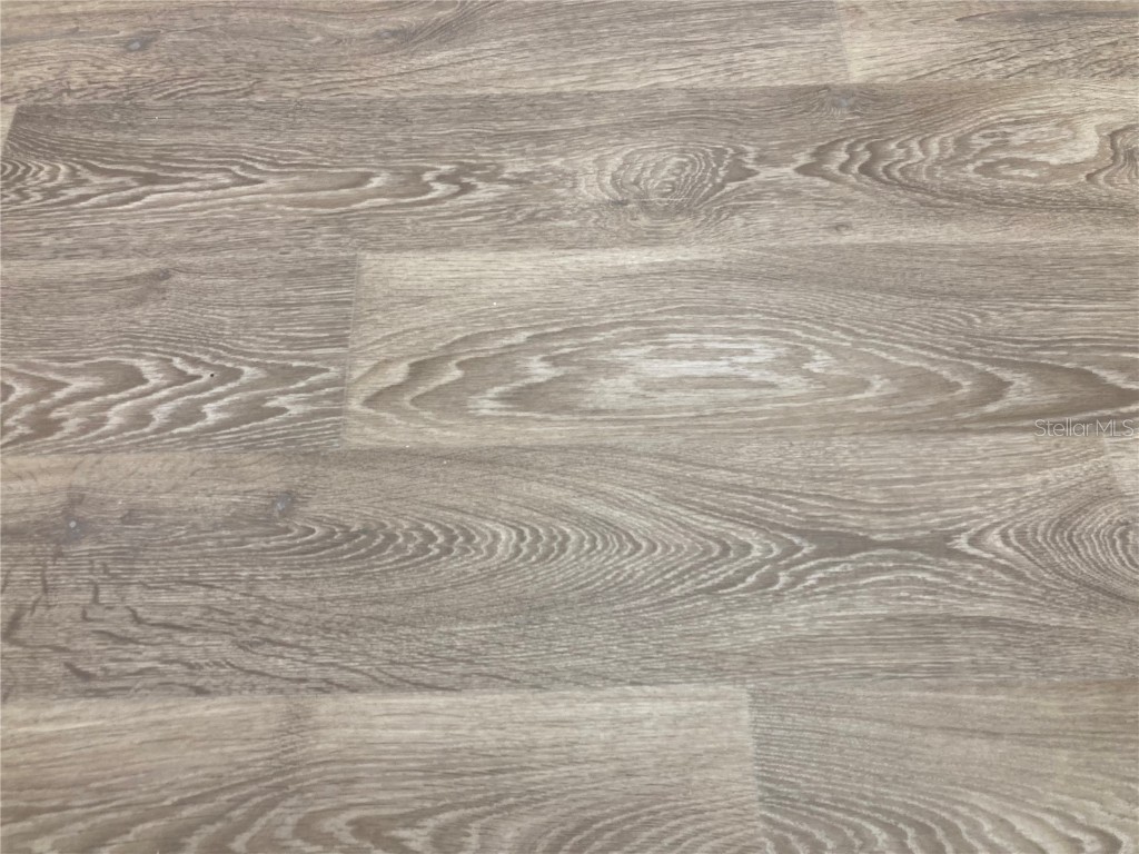 280 Last Mango Daytona Beach FL 32124 FC314333 image24