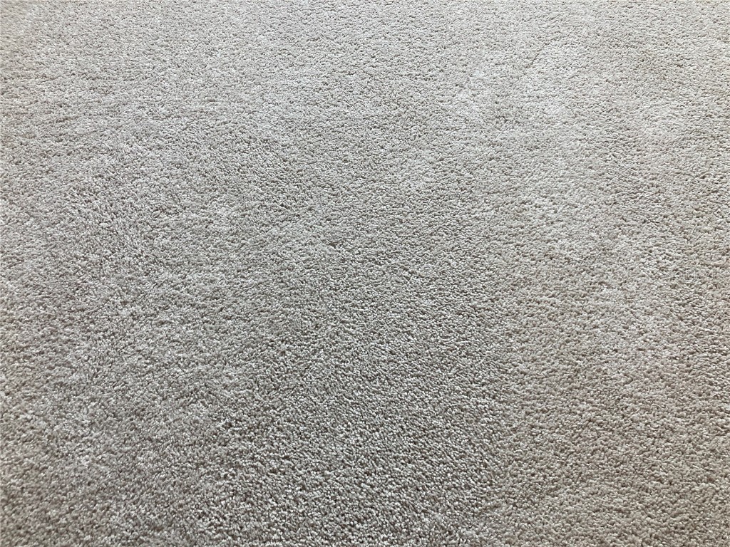 280 Last Mango Daytona Beach FL 32124 FC314333 image36