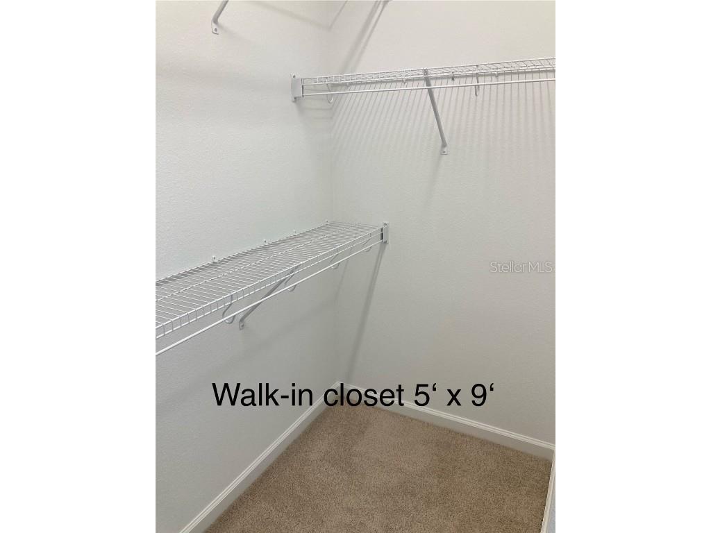 280 Last Mango Daytona Beach FL 32124 FC314333 image44