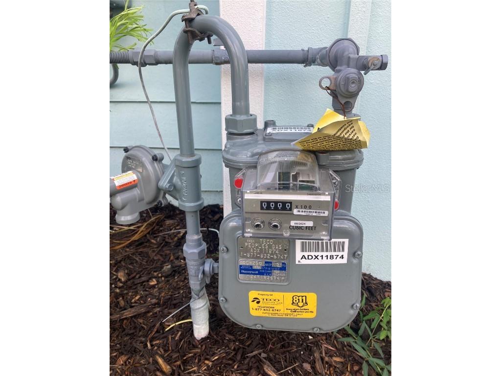 280 Last Mango Daytona Beach FL 32124 FC314333 image81