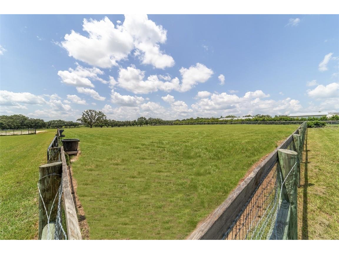 280 NE 150th Avenue Williston FL 32696 OM711871 image89