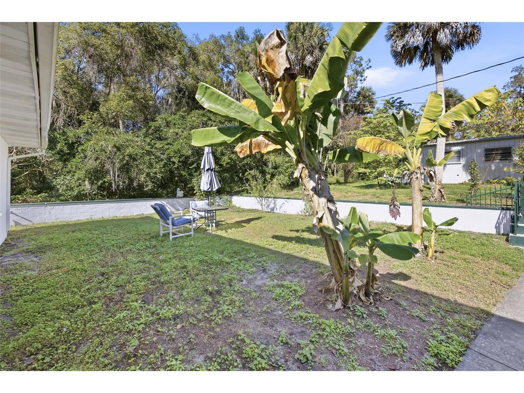 280 Palm Court Umatilla FL 32784 - LAKE UMATILLA O6372648 image60