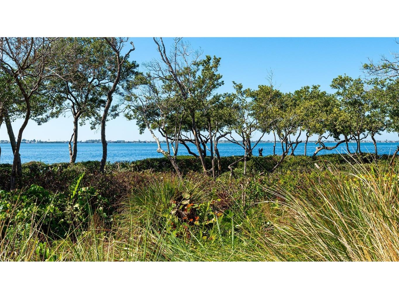 280 Saint Lucia Drive #101 Bradenton FL 34209 - ANNA MARIA SOUND/INTRACOASTAL A4587673 image38