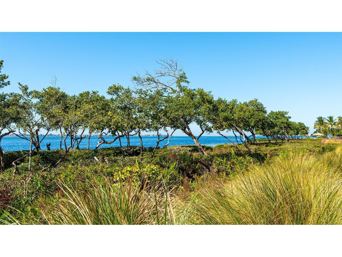 280 Saint Lucia Drive #101 Bradenton FL 34209 - ANNA MARIA SOUND/INTRACOASTAL A4587673 image39