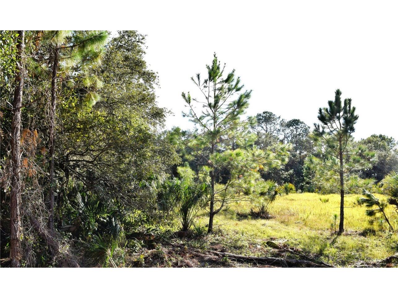 280 Smith Road Osteen FL 32764 V4927201 image1