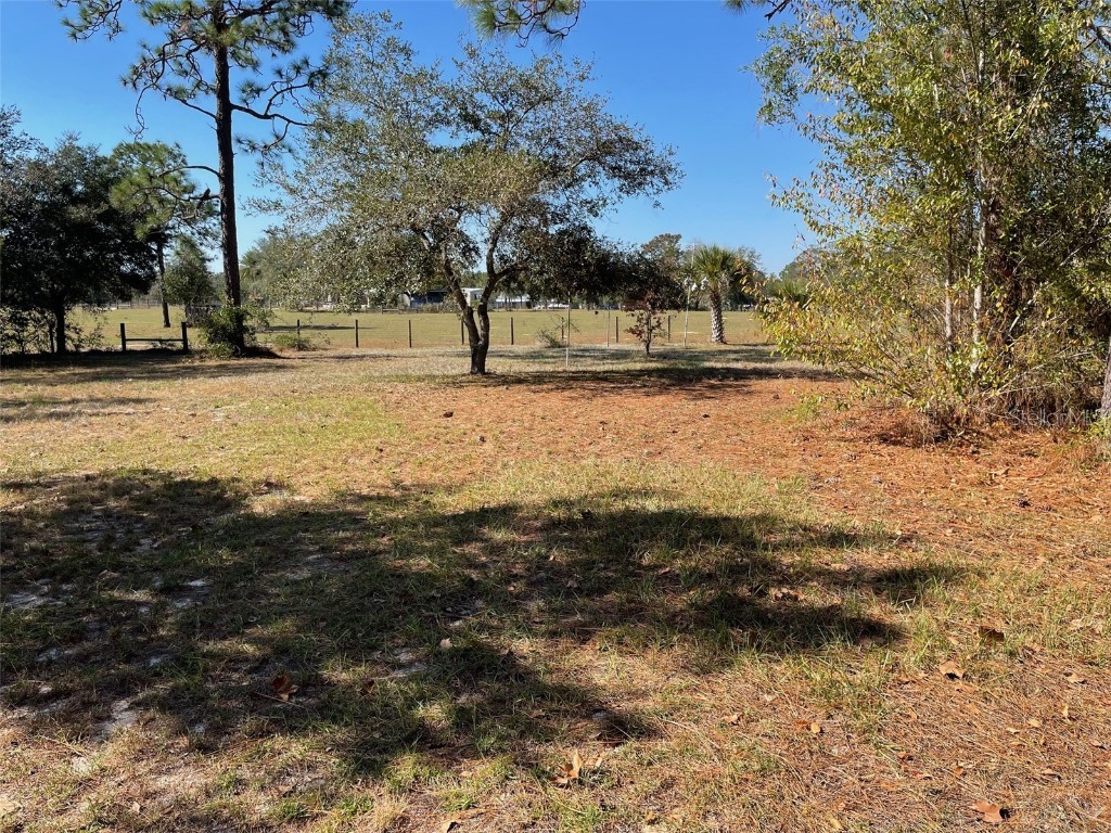 280 SW Ridgewood Road Dunnellon FL 34431 OM713536 image35