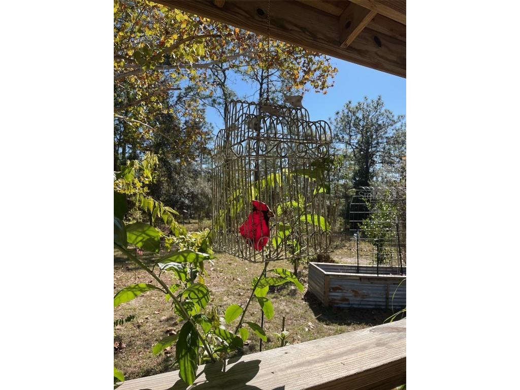 280 SW Ridgewood Road Dunnellon FL 34431 OM713536 image42