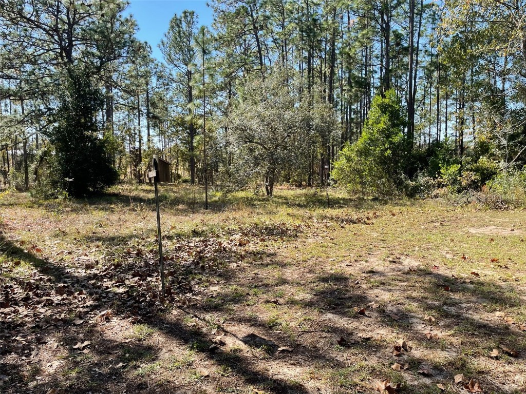 280 SW Ridgewood Road Dunnellon FL 34431 OM713536 image44