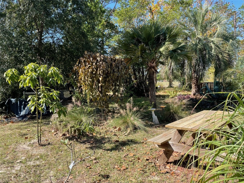 280 SW Ridgewood Road Dunnellon FL 34431 OM713536 image46