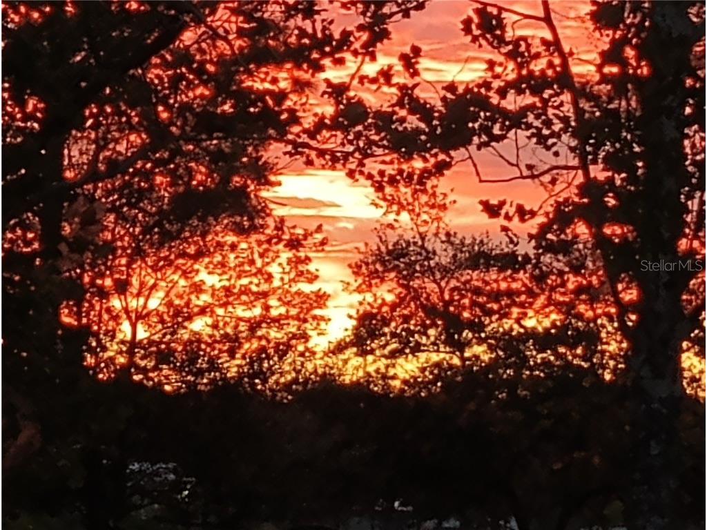 280 SW Ridgewood Road Dunnellon FL 34431 OM713536 image48